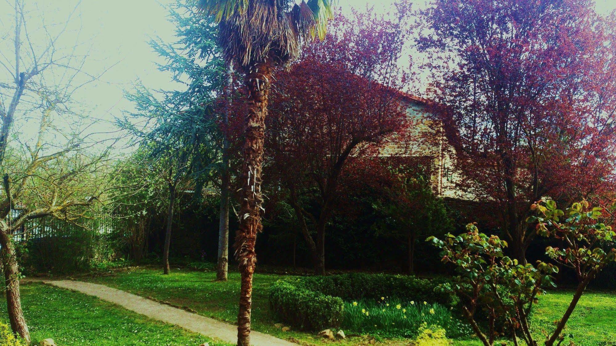 El Ribero Palacio De Los Alvarado En Las Merindades מראה חיצוני תמונה